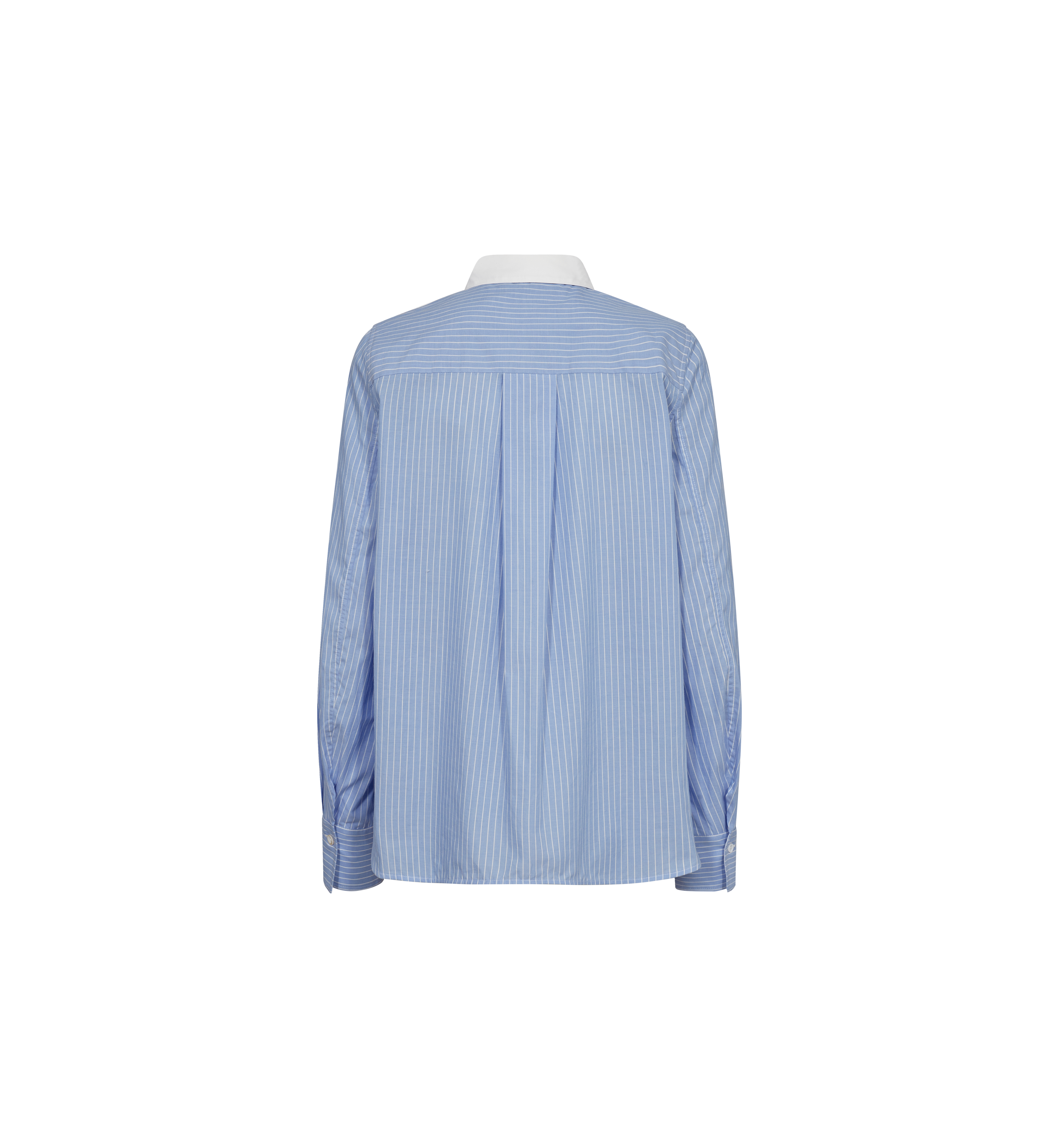 Packshot / Hydrangea / Back